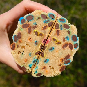 Chunky M&M Stuffed Cookies Recipe | Giant MnM Cookies, Homemade Cookies Dessert Cookies Gourmet Rainbow Cookies, Birthday Party Cookies