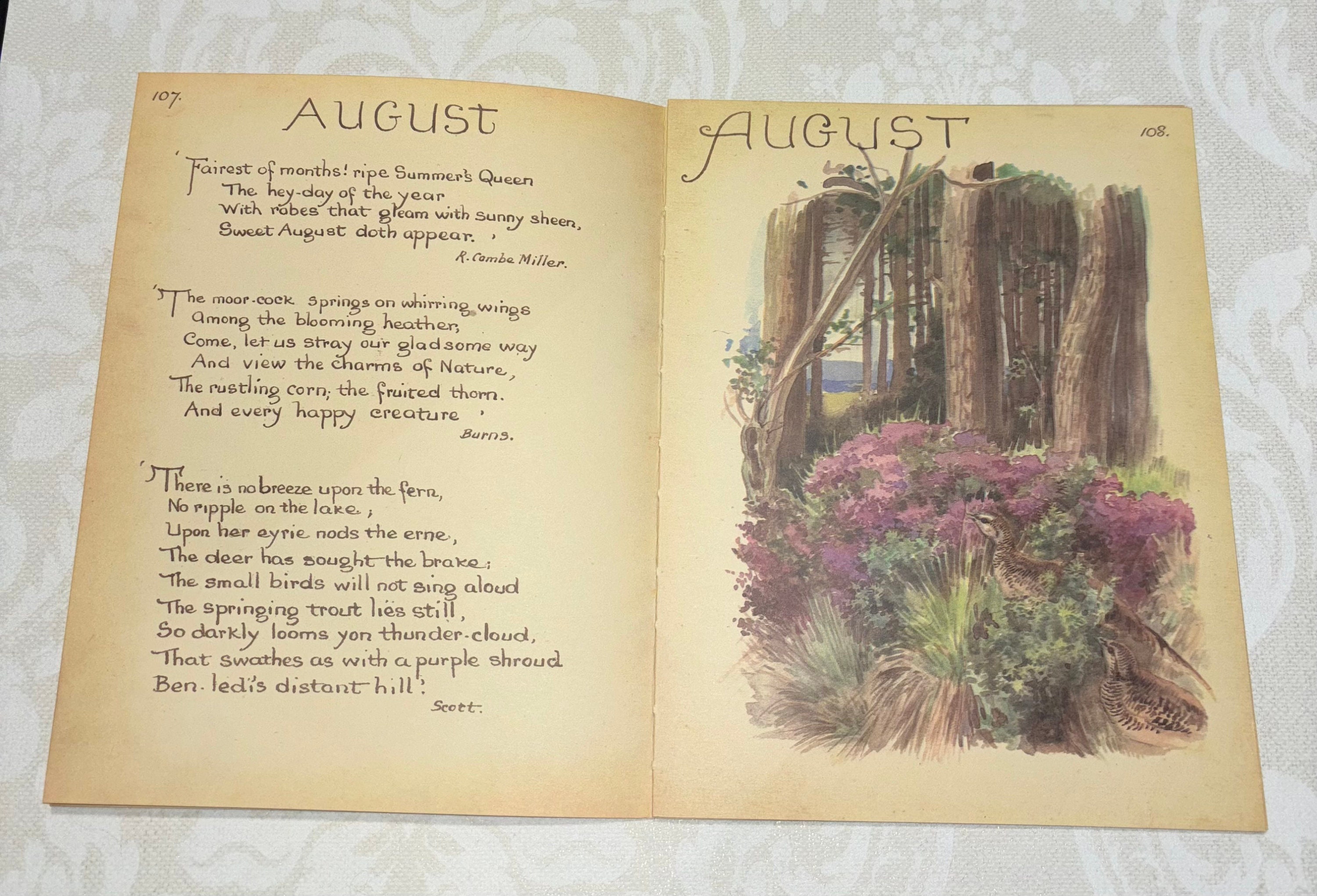 Set of Edith Holden Book Pages From Country Diary of an Edwardian Lady ...