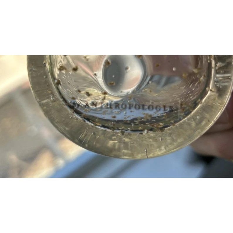 May include: Close-up of a clear glass object with the word "ANTHROPOLOGIE" etched into the glass. The glass has small, dark specks inside. The object is slightly out of focus.