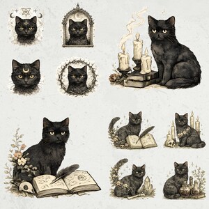 May include: A collection of black cat illustrations in various poses and settings. Some cats are depicted with celestial accents, candles, and open books. The artwork has a vintage, mystical aesthetic, with detailed linework and a muted color palette.