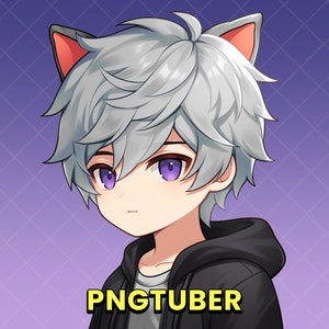 Chibi Cat Boy PngTuber: Ready to Use Vtuber Model