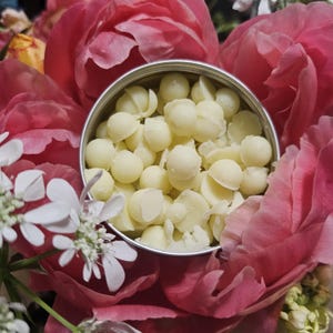 Lotion drops 2 ounce mini lotion bars for 1 use or travel several scent options easy on the go lotion all natural vitamin E oil shea butter