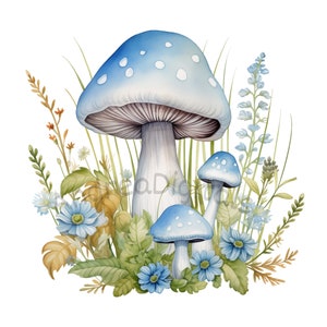 Png di funghi acquerello, Clipart di funghi di foresta, funghi magici, Png di sublimazione