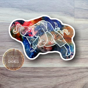 May include: A white line drawing of two people in a grappling position, set against a colorful watercolor background. The background features shades of red, blue, and brown, resembling a galaxy or nebula. The image is titled "Bodhi Chokes".