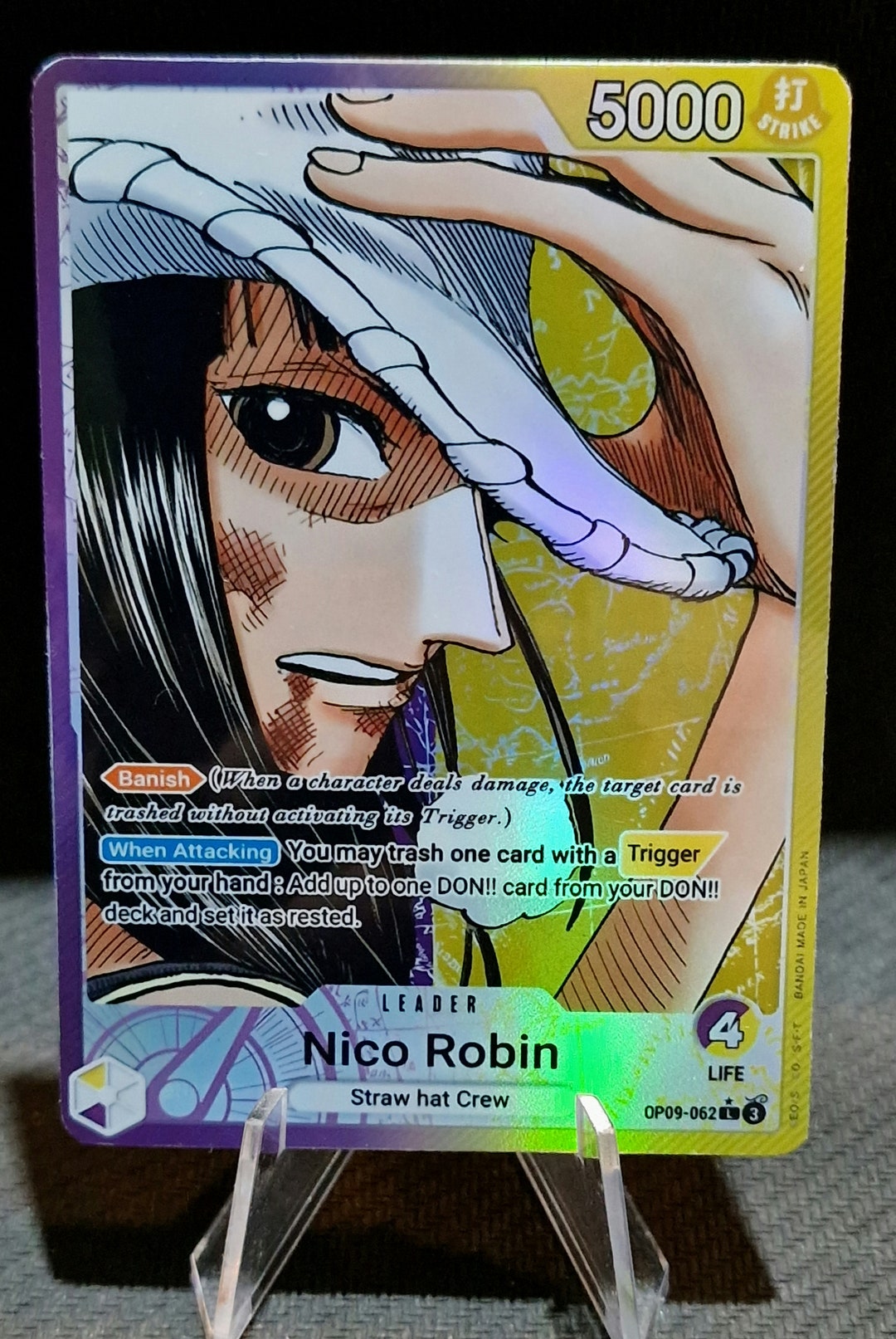 a+nation ARTIST CARD 未開封 10パック avex a+nation ARTIST CARD 未開封 10パック avex a+nation ARTIST