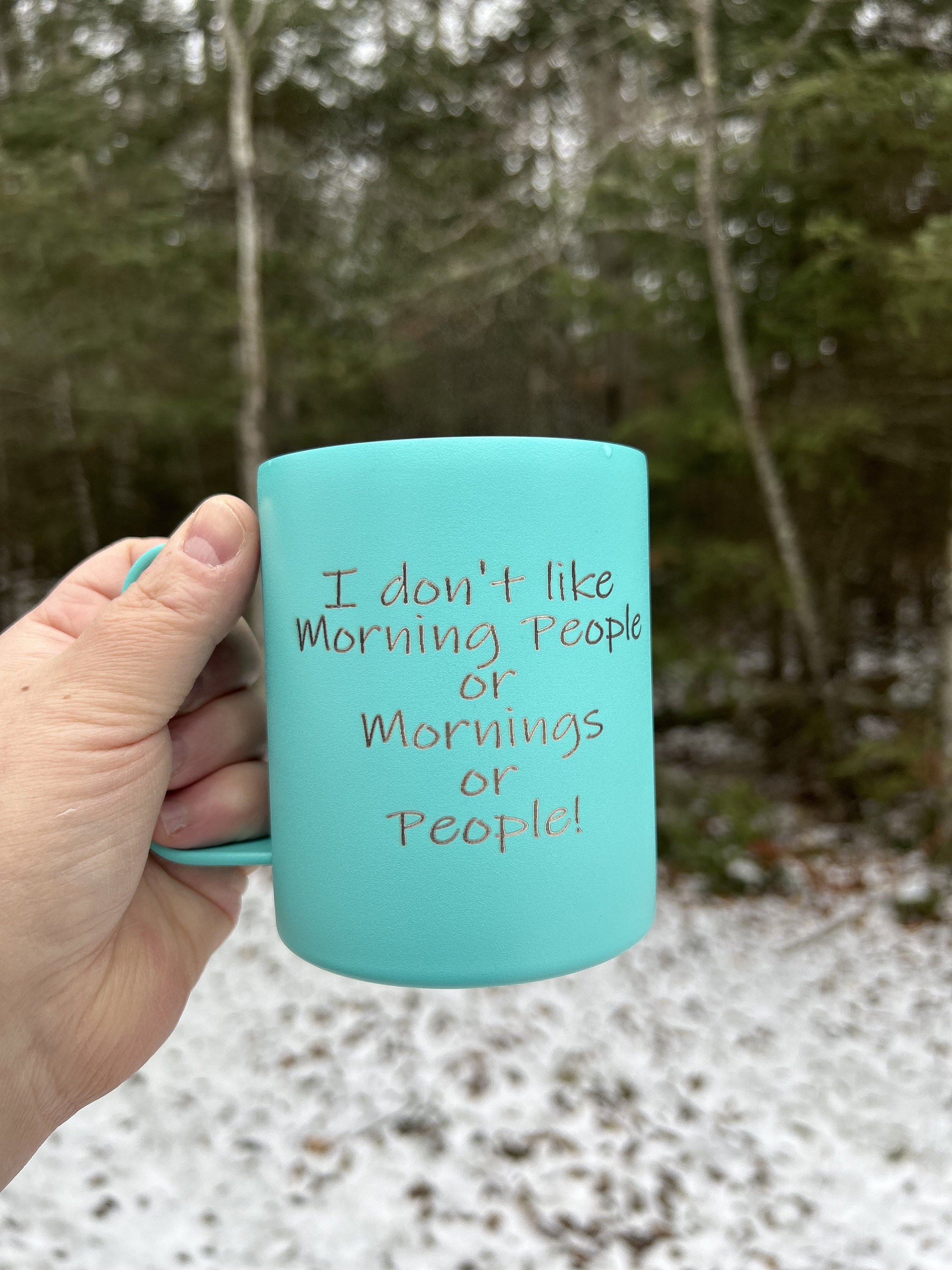 I don’t like morning people mug.