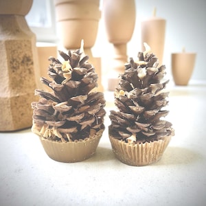 Gift Set | Beeswax Pine Cone Firestarter | Natural & Sustainable | Home Decor | Eco-Friendly Gift | Hand crafted |