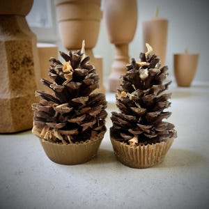 Geschenk Set | Bienenwachs Tannenzapfen Anzünder | Natürlich & Nachhaltig | Wohnkultur | Umweltfreundliches Geschenk | Handgearbeitet |