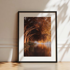 Autunno a Baldeneysee Essen, regione della Ruhr, stampa artistica, poster, 30 x 40 cm, senza cornice