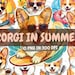 see more listings in the Summer section