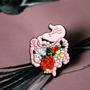 Digestive track intestines, colon, stomach, gut health pin. Gift for gastroenterologist, colorectal surgeon, proctologist, organ transplant.