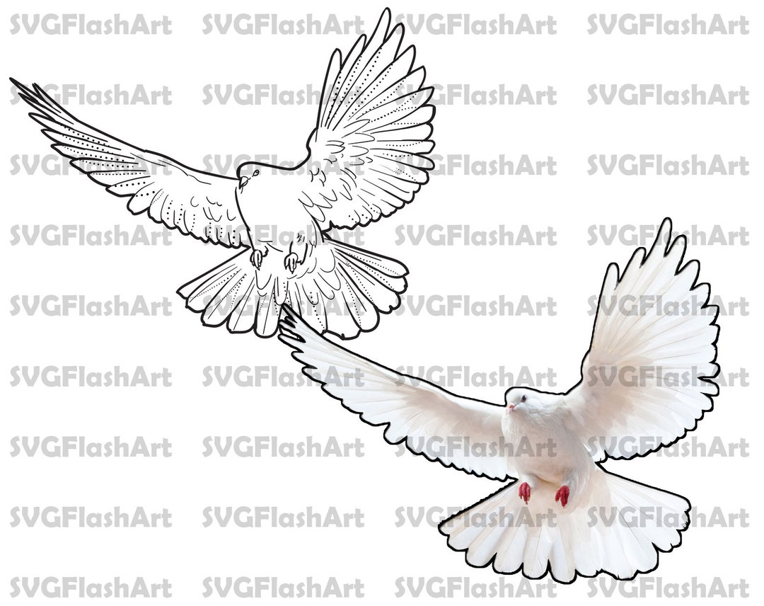 Dove Pre Made Tattoo Stencils Ready to Use Tattoo Stencils - Etsy
