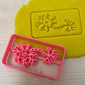 Puede incluir: Cortador de galletas de plástico rosa en forma de neurona, un tipo de célula nerviosa. El cortador está sobre una superficie de madera.