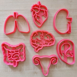 Set di formine per biscotti anatomici: regalo per studenti di medicina