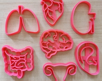 Anatomy Cookie Cutter Set- Medical Student Gift
