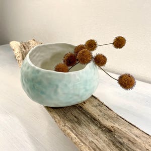 Può includere: Una ciotola in ceramica blu chiaro con una superficie testurizzata si trova su un pezzo di legno di deriva. Boccioli di fiori marroni secchi sono disposti nella ciotola.
