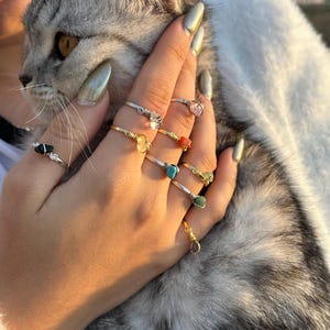 以下が含まれることがあります： 金と銀のセッティングに様々な宝石をあしらった指輪がはめられた手。黒、クリア、ピンク、イエロー、ターコイズ、コーラル、グリーンの色の石が特徴です。その手は、グレーと白の猫を優しく触っています。