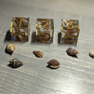 What The Shell | 3 x D6 Polyhedral Sharp Edge DnD Dice | Shell Dice | Snail Dice | 3 dice set | Pretty Dice | Resin dice