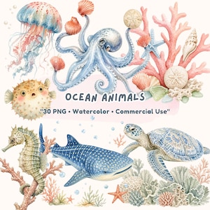 Tropical Sea Life Watercolor Clipart | Pink Summer Coastal Turtle Shells Starfish PNG | Beach Ocean Nursery Art | Commercial Use