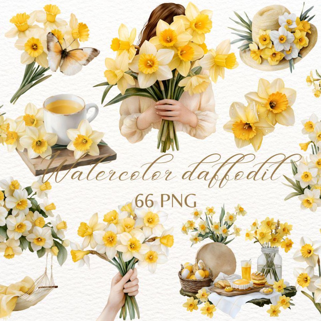 Daffodil Watercolor Clipart: Spring Floral PNG Bundle (PDF Download) - Etsy