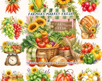 30 boerenmarkt clipart png, verse markt illustratie, groente clipart hand getrokken, biologisch voedsel bloem sublimatie, commercieel gebruik