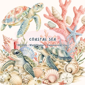 May include: Watercolor illustration featuring sea turtles, seashells, coral, and starfish. The image has a coastal theme with a variety of shells and marine life. The text "COASTAL SEA" is included in the image.