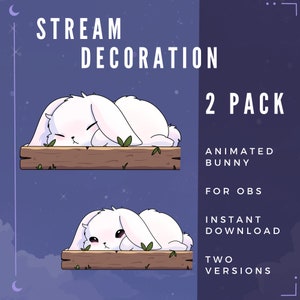 Animated White Bunny with Floppy Ears | Cute | Stream Overlay | Vtuber-Assets | Twitch | OBS | Sleeping Bunny | Stream Decoration