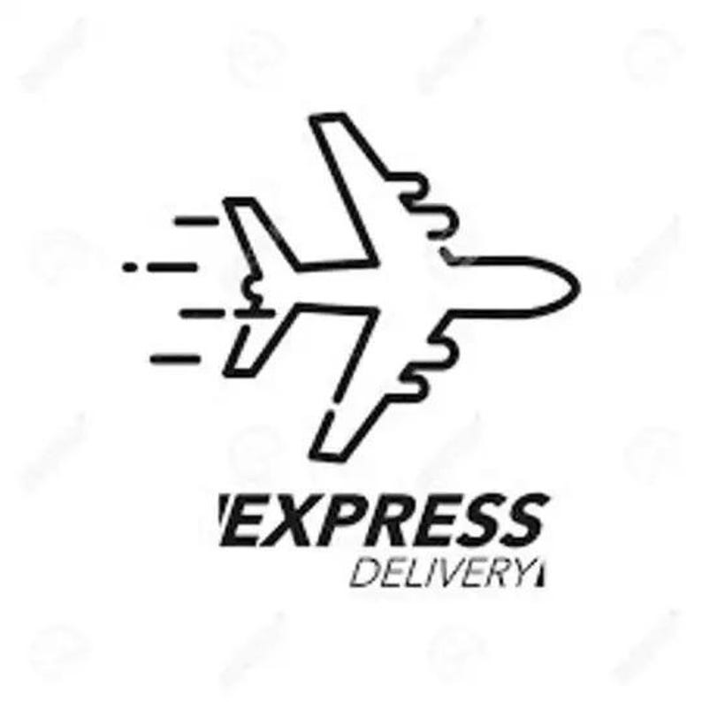 May include: Black and white line art illustration of an airplane in flight with a speed line effect. The text "EXPRESS DELIVERY" is below the airplane.