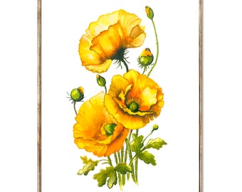 Yellow Poppy Art Print, Botanical Watercolor Floral Poster
