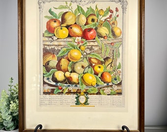 Vintage “April” Lithograph of 1700s Robert Furber “12 Months of Fruits”