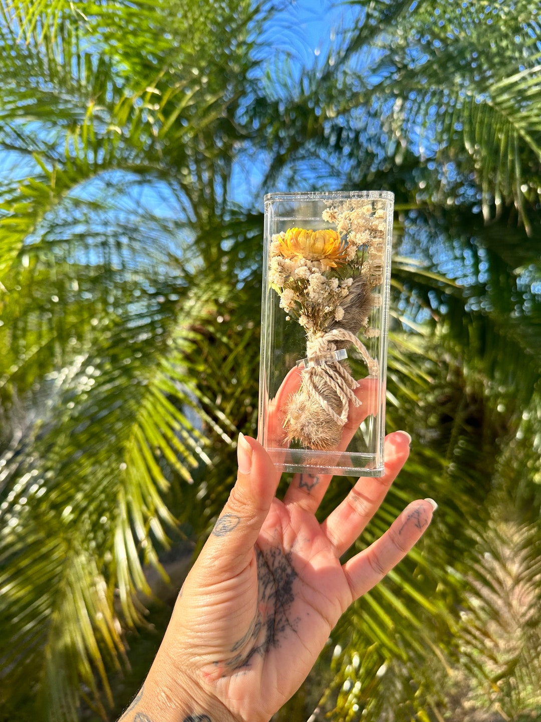 Oddities Cased Lucky Rabbit Foot - Etsy