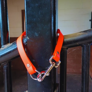 May include: A bright orange leash with a silver hook attached to a black metal post. The leash is looped around the post.