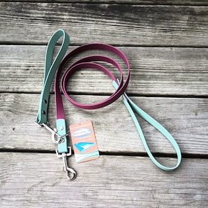 Biothane 4 foot Dog Leash With Removable Traffic Handle, Traffic Handle Dog Leash, Waterproof BioThane, Custom Made, Personalized Gift