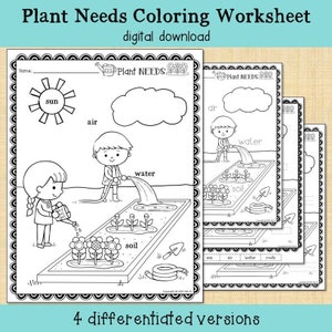 Plant Needs Worksheet printable