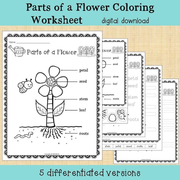 Parts of a Flower Coloring Worksheet