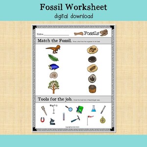 Fossilarbetsblad: Paleontologimatchning | Naturvetenskap utan förberedelser