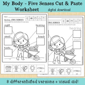 My Body - Five Senses Cut and Sort Worksheet - Etsy