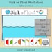Sink or Float? Cut and Paste Worksheet Printable - Etsy
