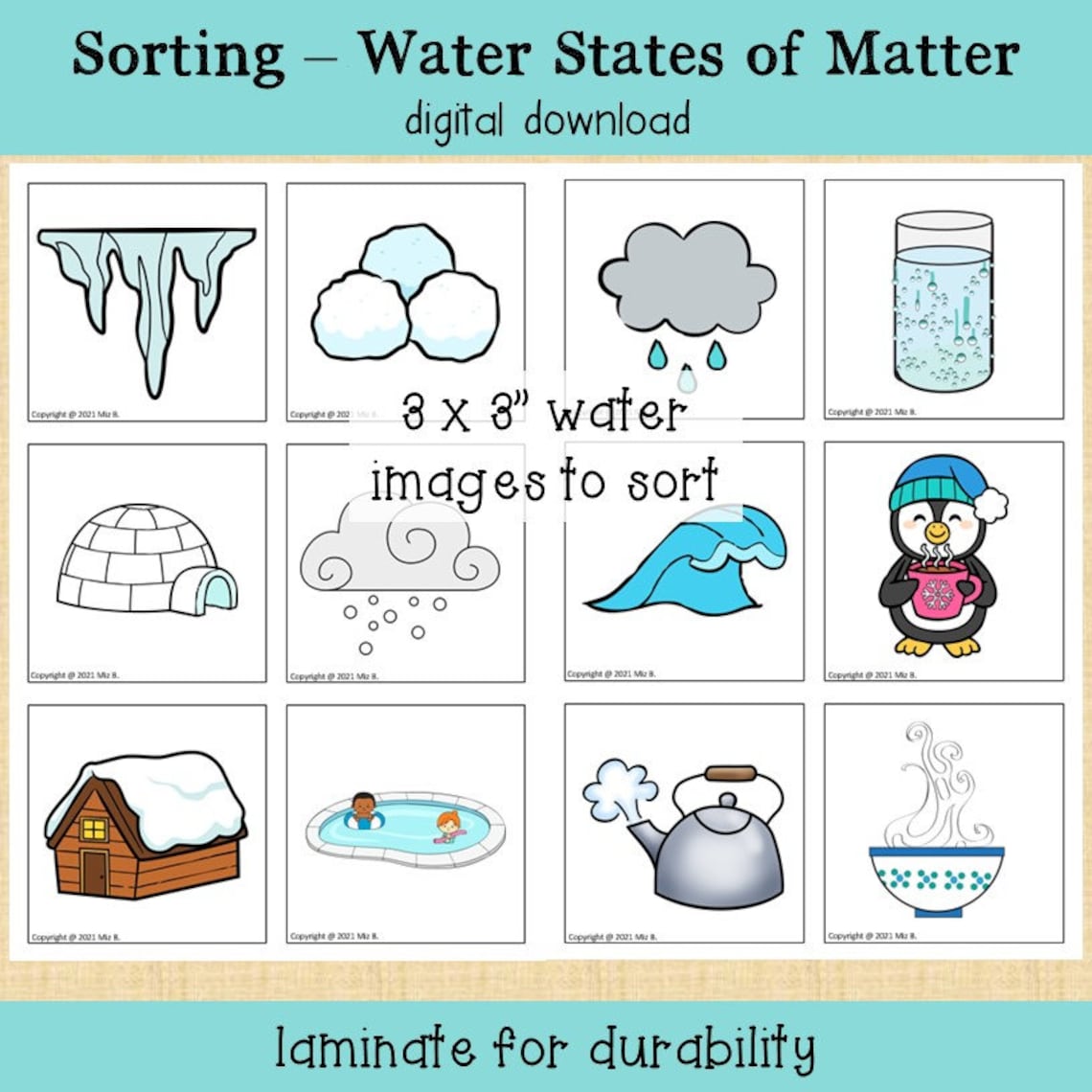 Water States of Matter Sorting Activity - Etsy