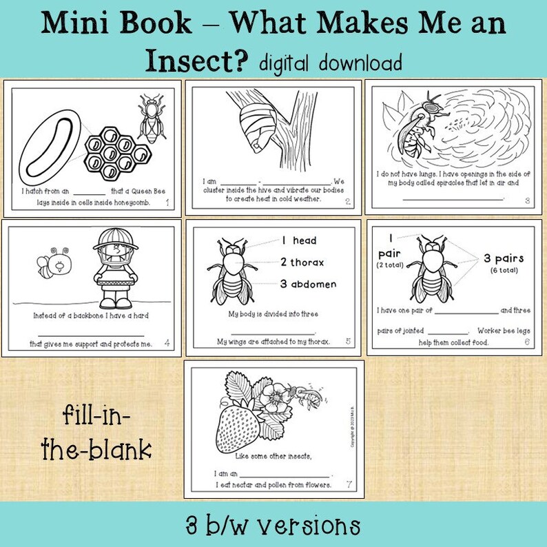 What Makes Me an Insect? Honeybee Mini Coloring Book Printable - Etsy