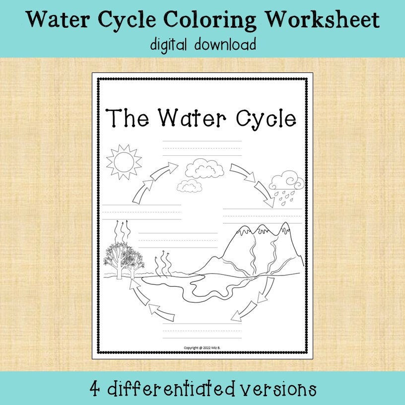 Water Cycle Coloring Worksheet - Etsy