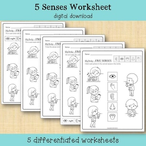May include: A stack of five black and white worksheets with the title "5 Senses Worksheet" and the words "digital download". Each worksheet features illustrations of children and objects related to the five senses. The bottom of the image reads "5 differentiated worksheets".