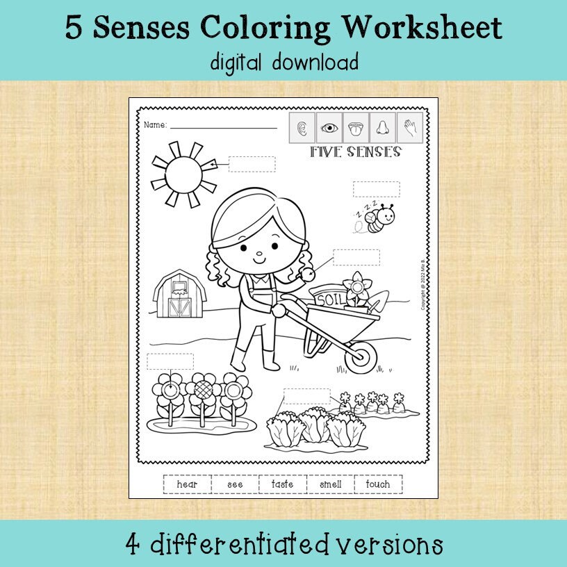 My Body - Five Senses Coloring Worksheet | Science No Prep - Etsy