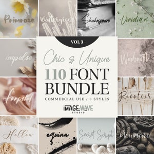 Paquete de 110 fuentes elegantes y únicas, vol. 3, fuentes caligráficas, fuentes de pincel escritas a mano, fuentes monolineales, Cricut, Procreate, fuentes para bodas