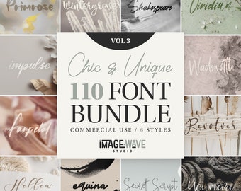 Op de afbeelding: Een collage van 10 verschillende lettertypen, elk weergegeven op een unieke achtergrond. De lettertypen zijn allemaal handgeschreven en hebben een chique en unieke stijl. De tekst luidt "110 FONT BUNDLE, COMMERCIAL USE / 6 STYLES, IMAGE-WAVE STUDIO".