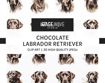 Chocolate Labrador Dog Watercolor Clipart: 20 Dog Breed JPGs (Digital Download)