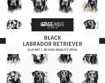 Czarny Labrador Retriever, 20 wysokiej jakości JPG, akwarelowe kliparty dla psów, rysunek, planer, kubki, odzież, dziennik śmieci, cyfrowe rzemiosło papierowe