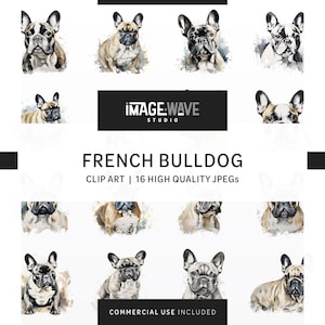 Französische Bulldogge, 16 hochauflösende JPGs, Aquarell Hund Clipart, Zeichnung, Planer, Tassen, Kleidung, Junk Journal, digitales Papiermodell