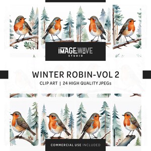 Winter Robin Vol 2, 24 fichiers JPG de haute qualité, art mural, vêtements, agenda numérique, journaux indésirables, usage commercial - téléchargement numérique