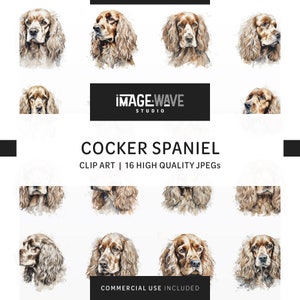 Puede incluir: Un conjunto de 16 imágenes digitales de clip art de alta calidad que presentan ilustraciones de acuarela de perros Cocker Spaniel. Las imágenes son perfectas para manualidades, scrapbooking y otros proyectos creativos.